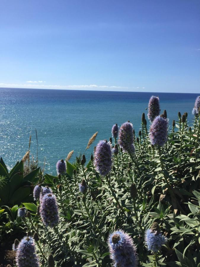 Calheta Ocean View Family Apartment - Air Condition Estreito Da Calheta Екстер'єр фото